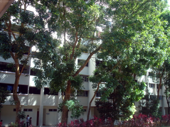 Woodlands Street 13 thumbnail photo